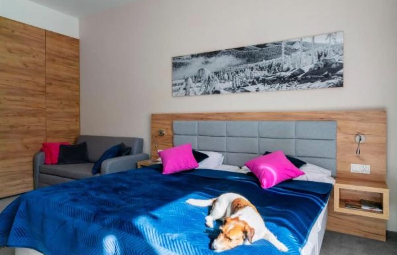 Apartament inwestycyjny w górach
